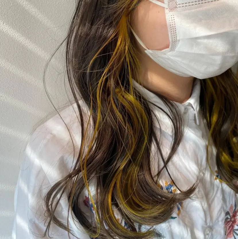 江島 美保の掲載