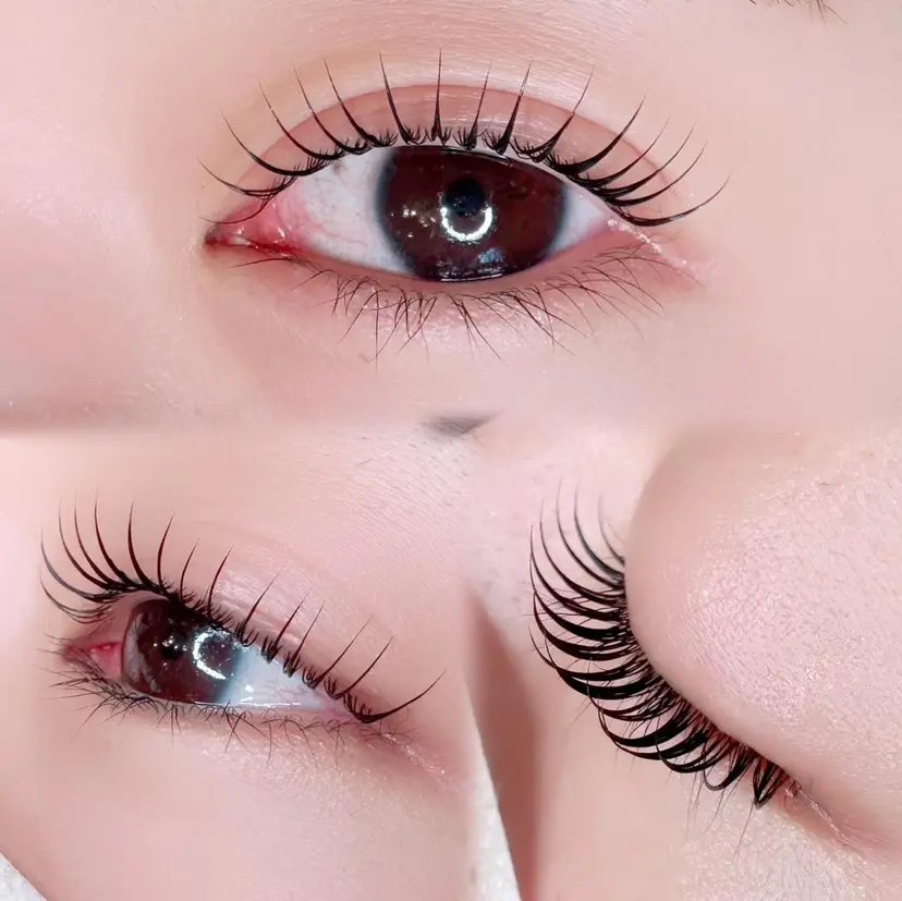 Lino. SONOKOの掲載