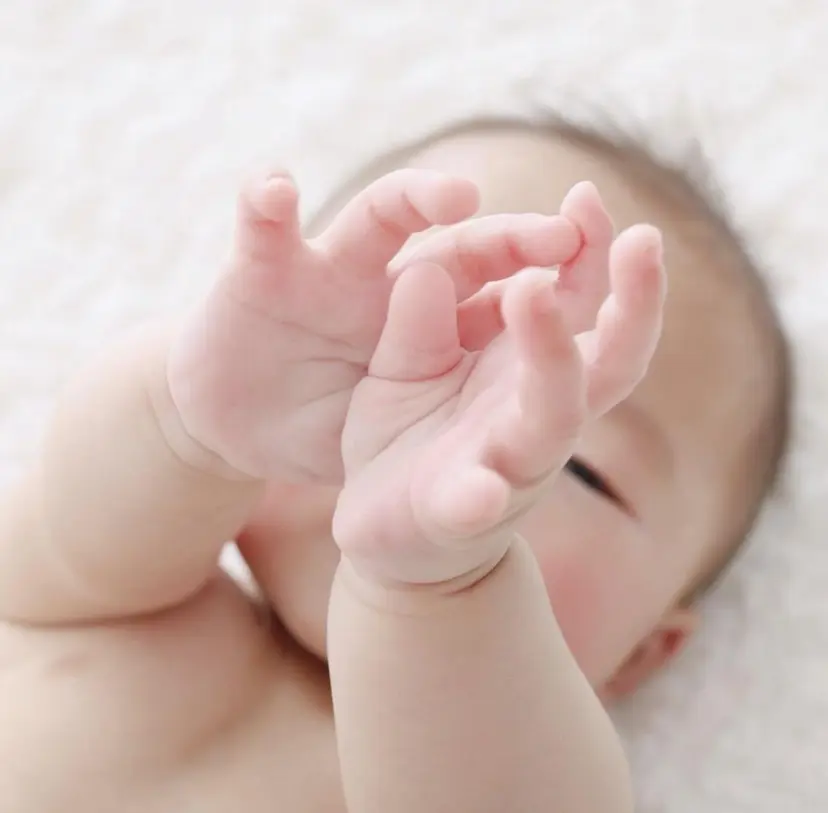 MARIRE EPISALONの掲載