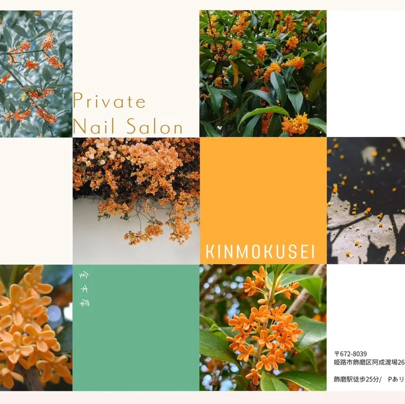 nail salon kinmokuseiの掲載