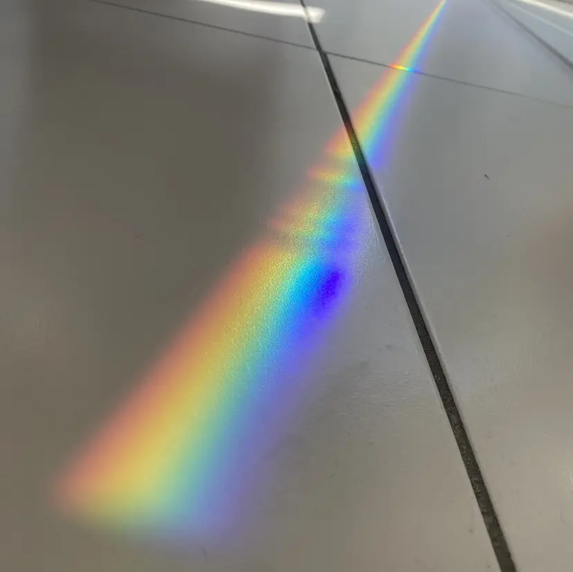 🪽バレイヤージュ 翔🪽の掲載