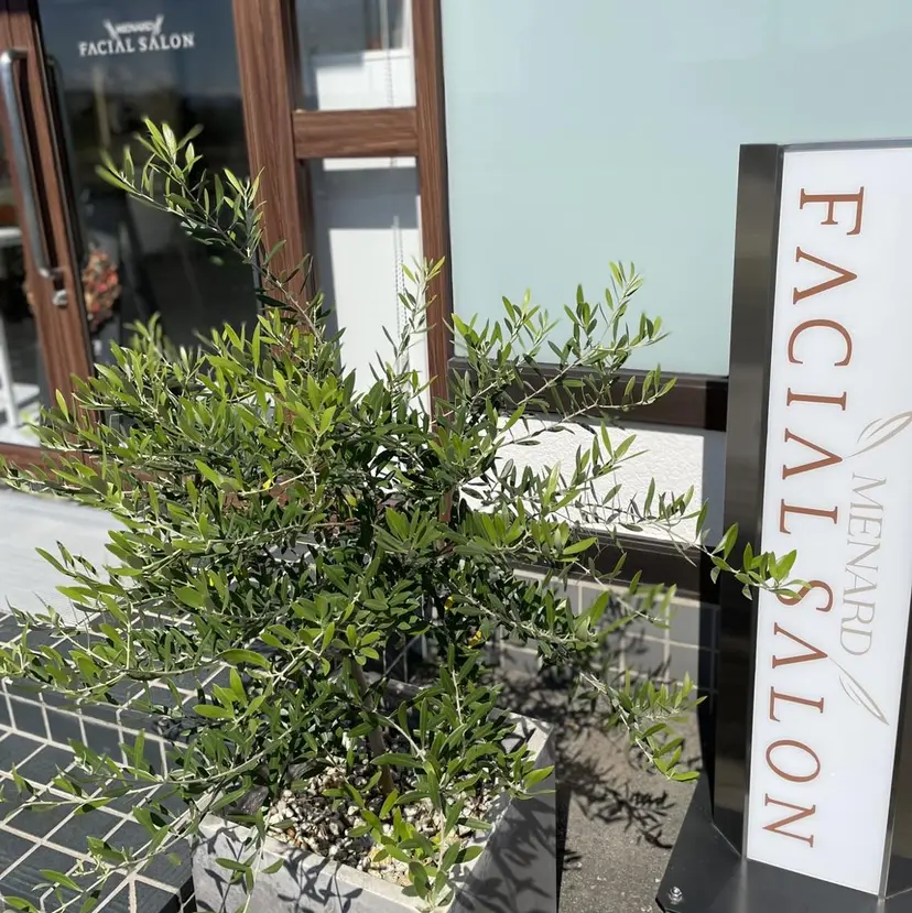 遠藤 麻希の掲載