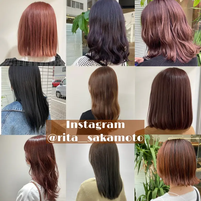 さかもと あかりの掲載