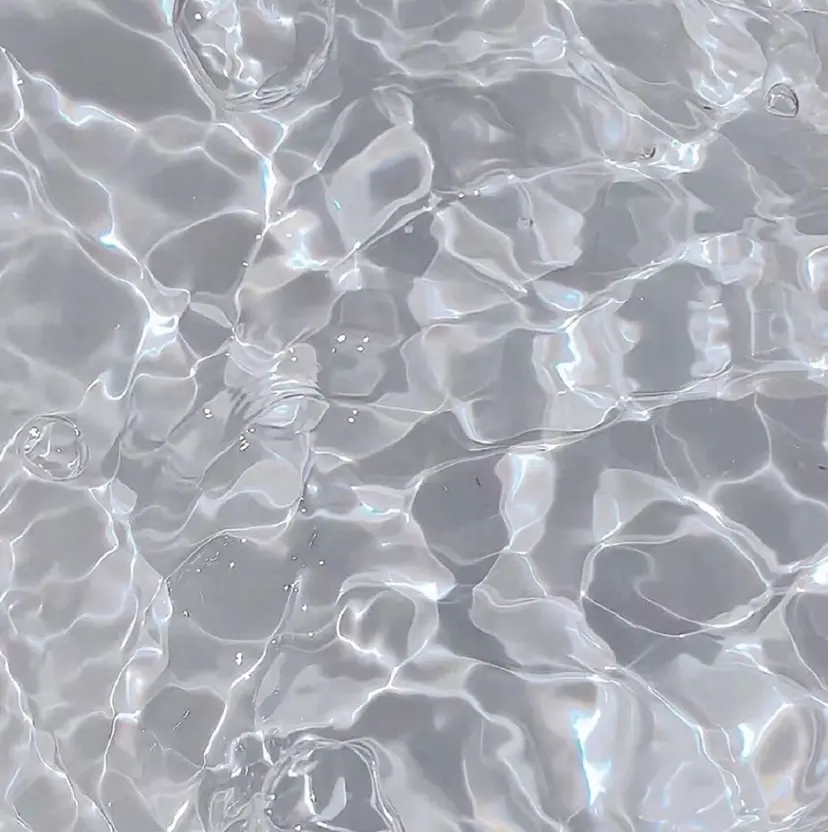 M.wish Annaの掲載