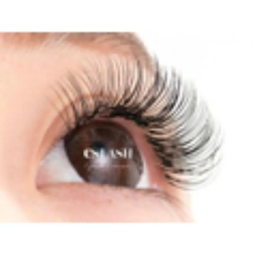 BONIT 千葉店の掲載