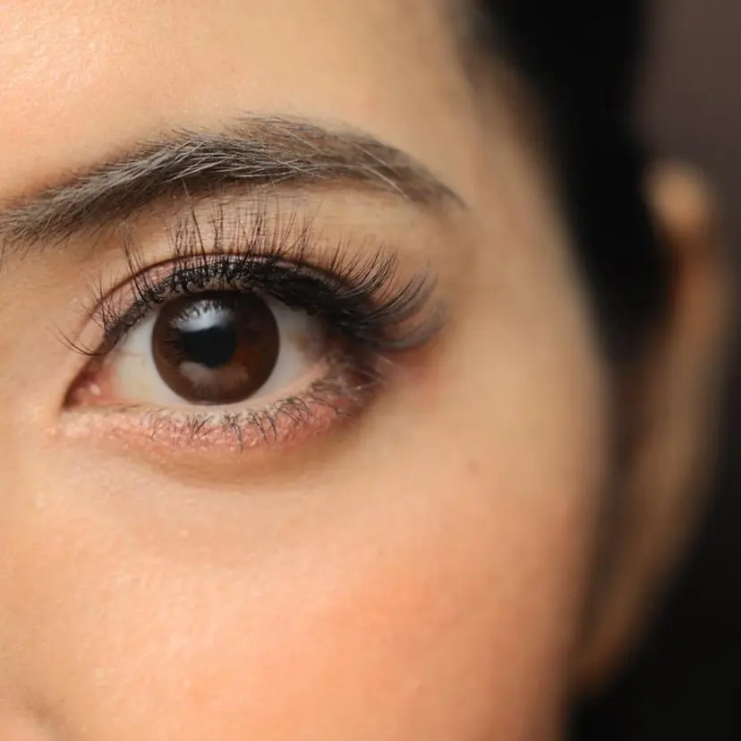 有吉 ようこの掲載