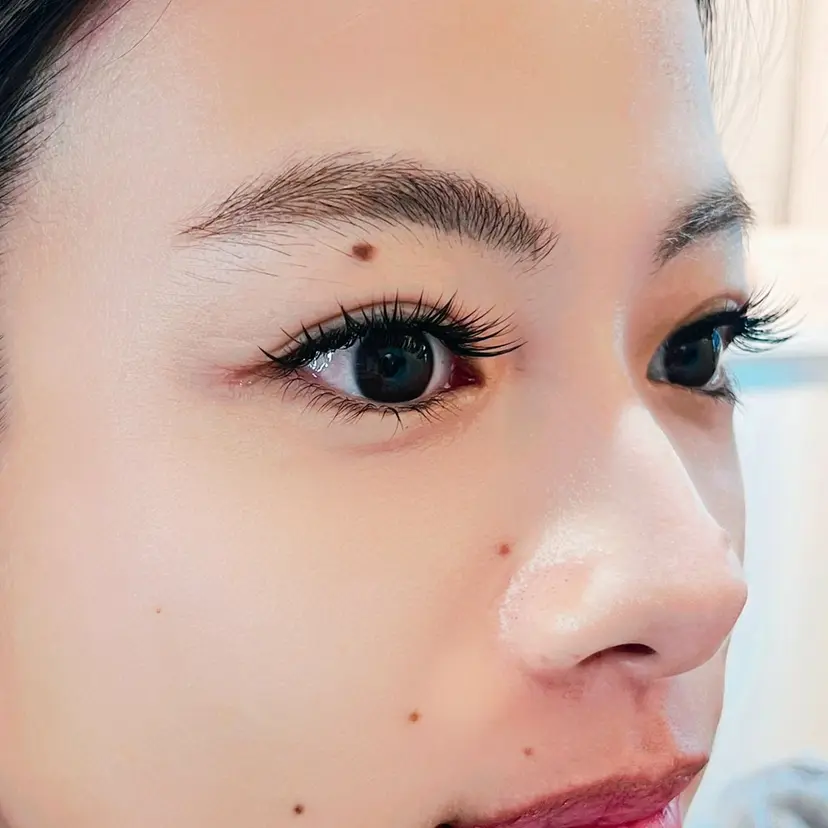 Lycka till 加藤の掲載