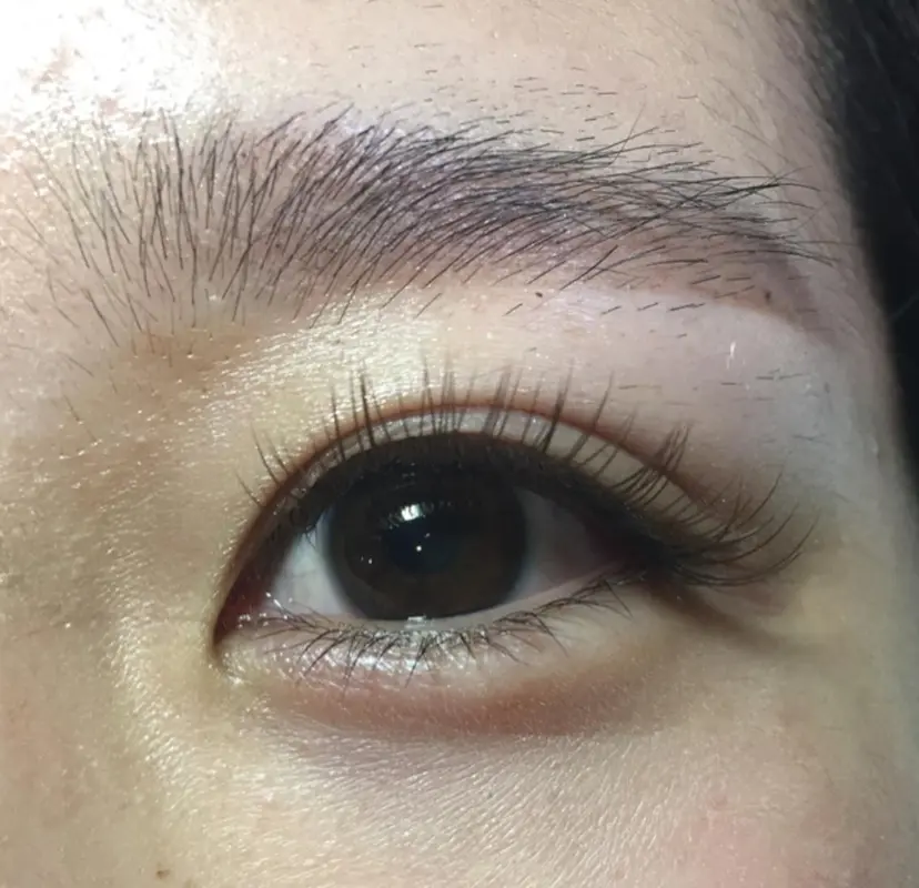 ヴィルシア 浦安の掲載