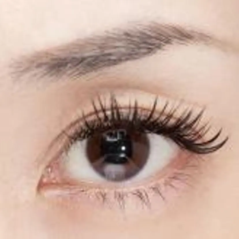 シエル サロンドボーテの掲載