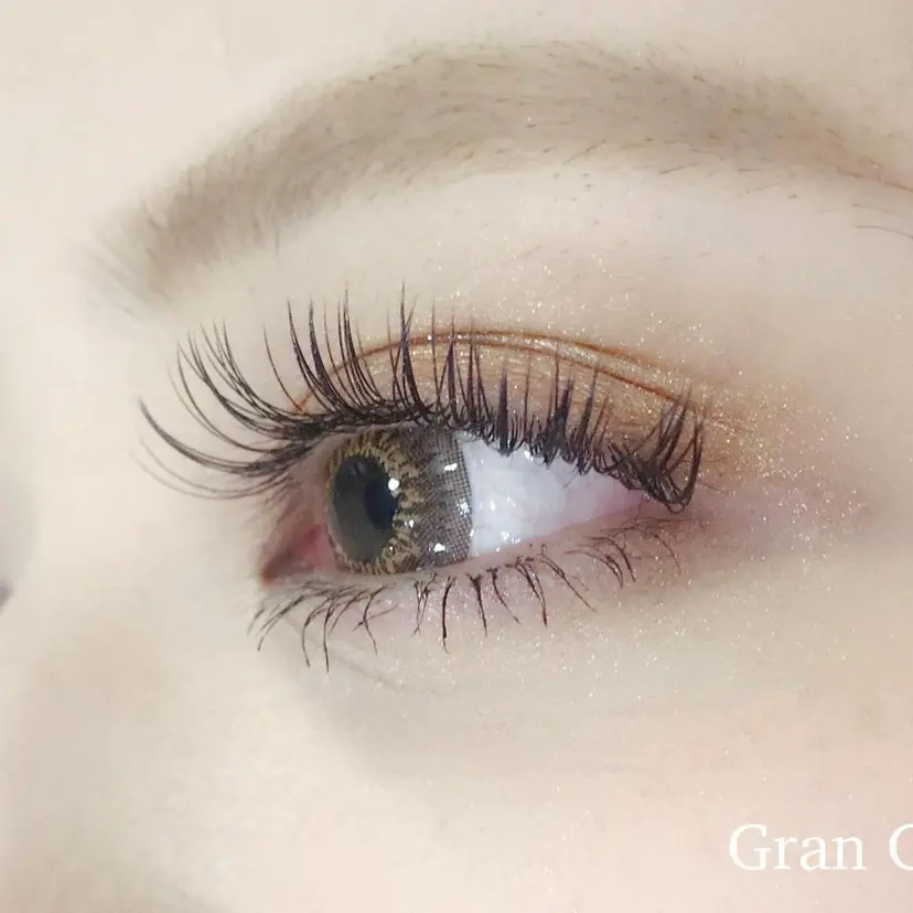 サイトウ サエの掲載