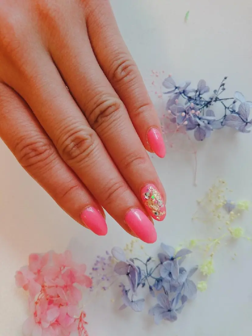 トミー ワイの掲載