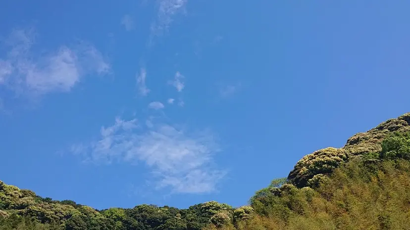 sogo michiyoの掲載