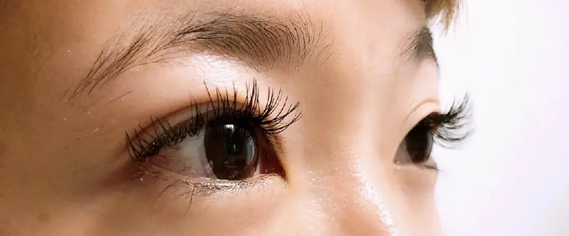 長岡 真子の掲載