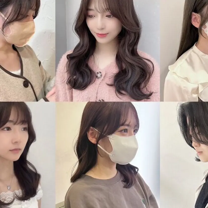 🩶透明感カラー🩶 ミズキの掲載