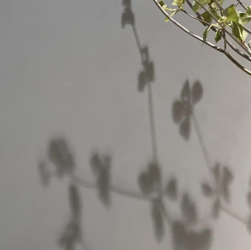 sodeyama kotoneの掲載