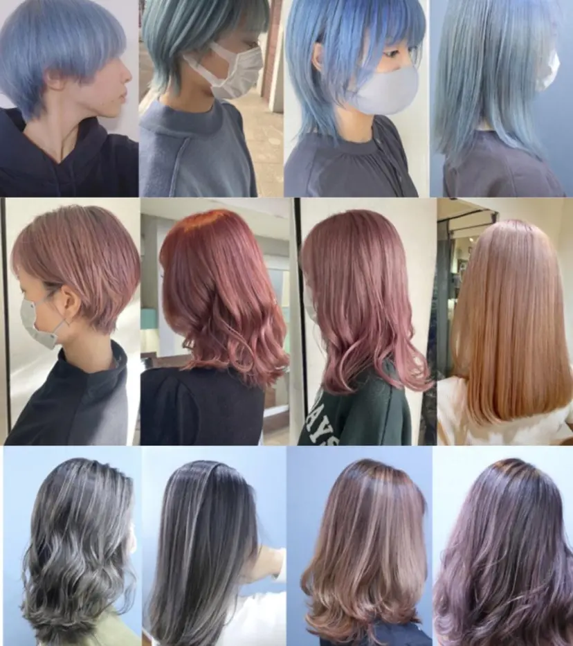 高野 真弥の掲載