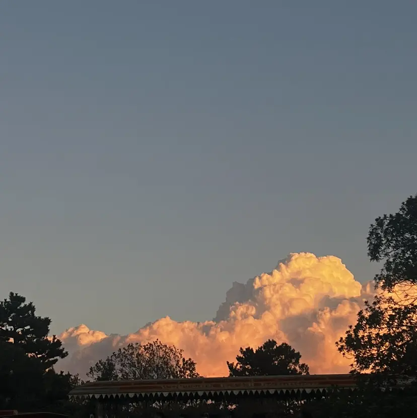 ショートヘア 大類ミサキの掲載