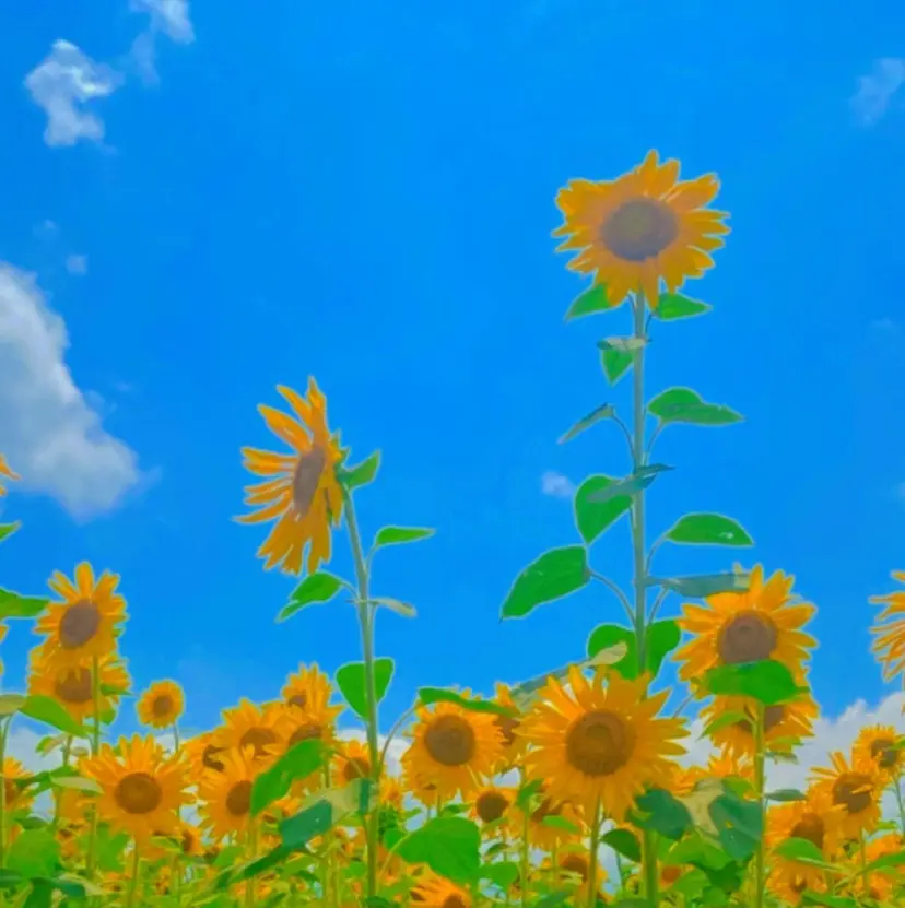 菊入明海/マツパ/眉 ワックスの掲載