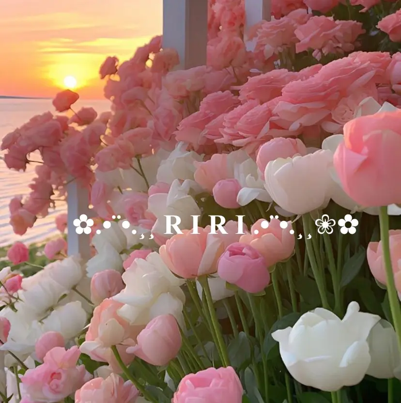 🤍アイブロウ専門 🫧Nomoto🤍の掲載