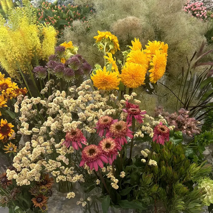 ☁️Himmel☁️ SARA💛の掲載