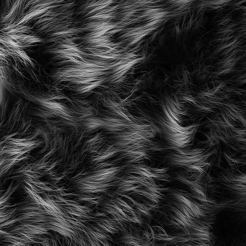 KOHARU 🐾の掲載