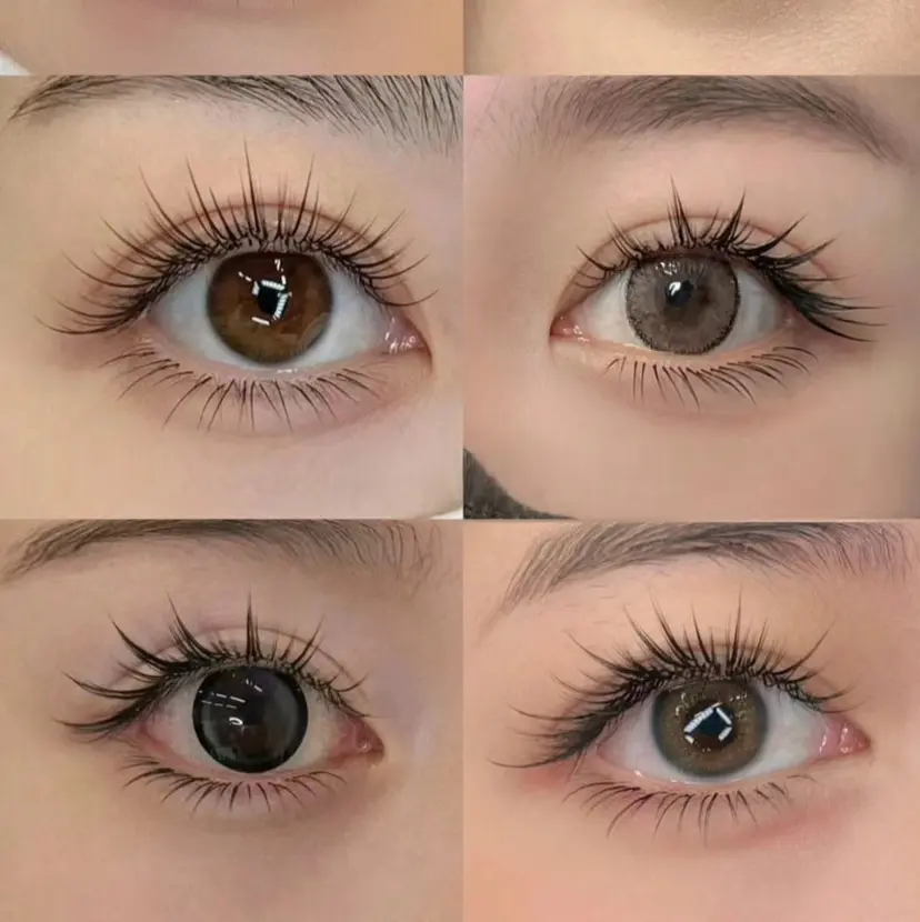 glycine satoの掲載