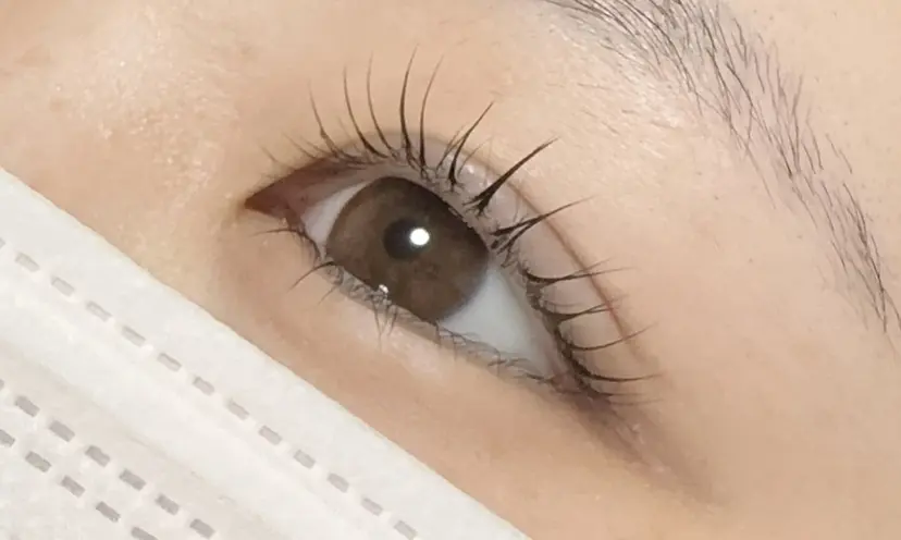 菅野 ももかの掲載