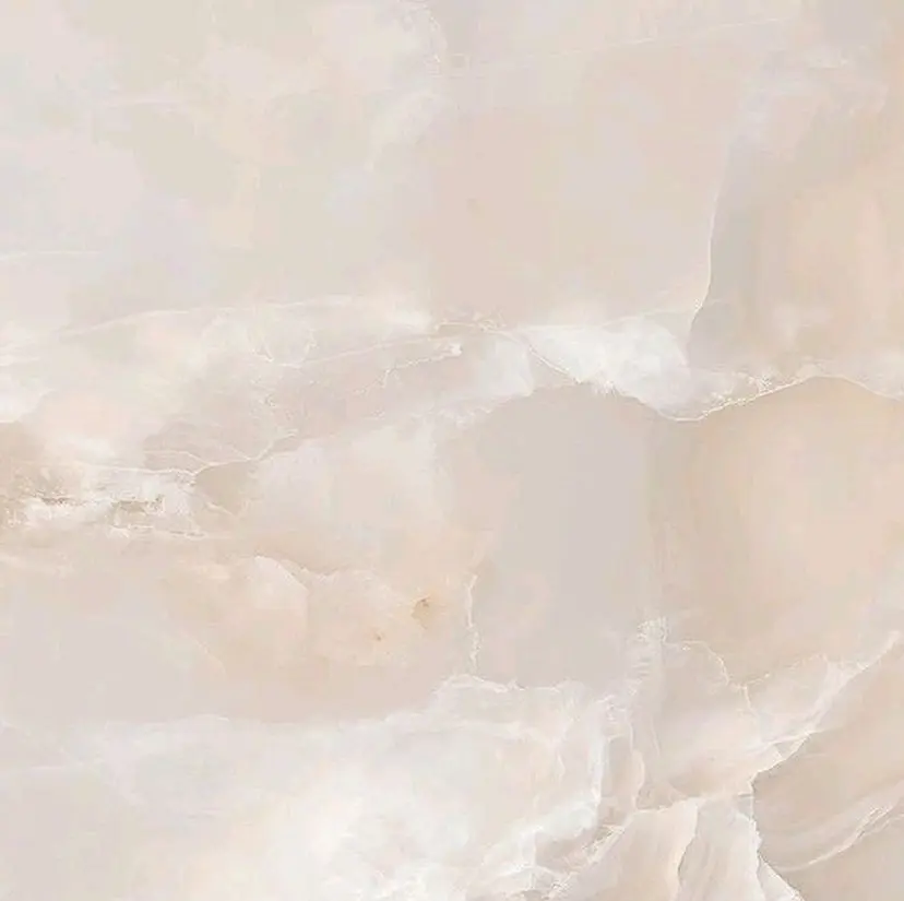 和田 ののかの掲載