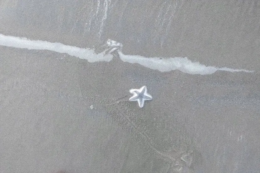 彩里菜 ౨ৎ⋆˖ ࣪の掲載