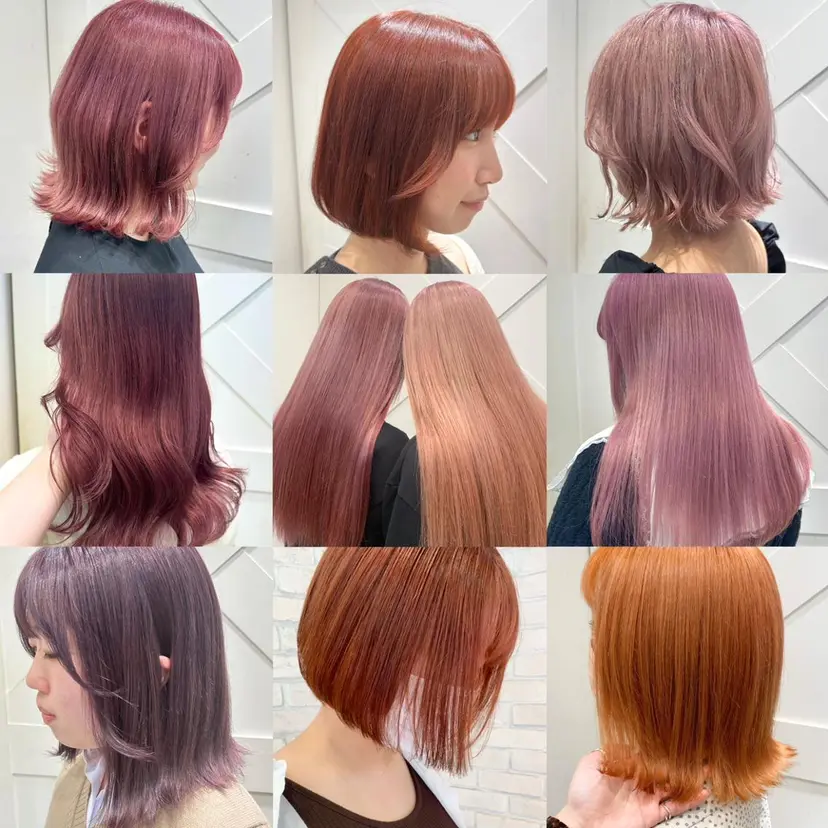 秋守 百華の掲載