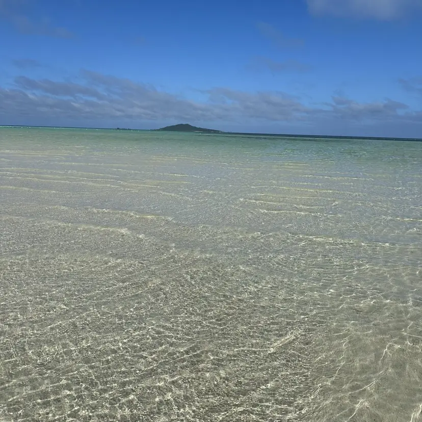 Rinoshores SARINA💎の掲載