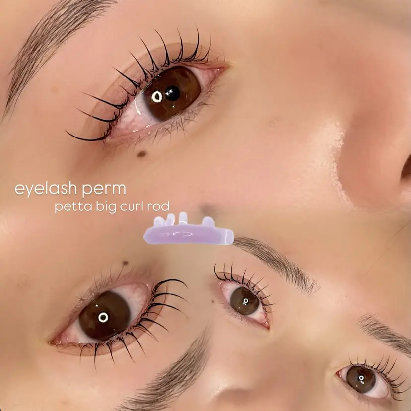 藤澤 夢香の掲載