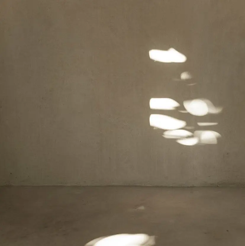 Éclat masayoの掲載