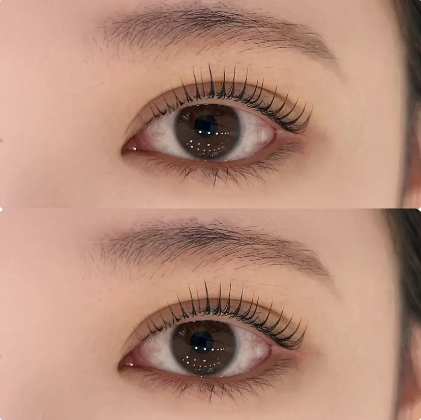 マリーテレジア KUBOTA🪽の掲載