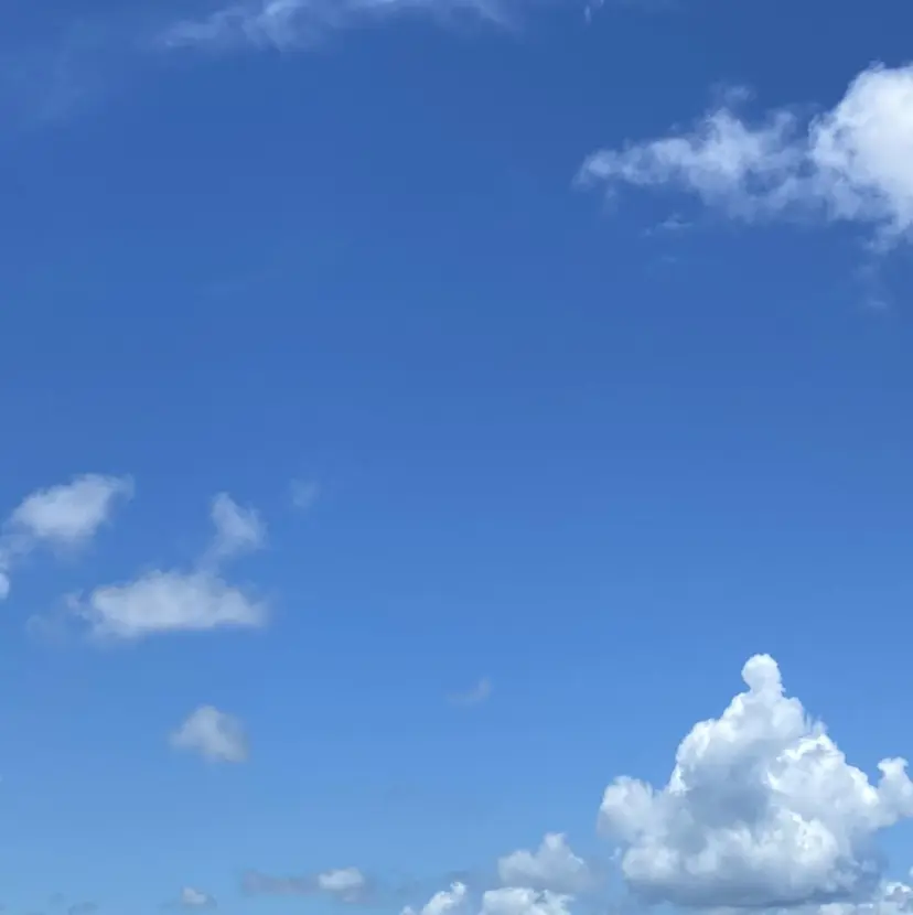 川満 琢也の掲載