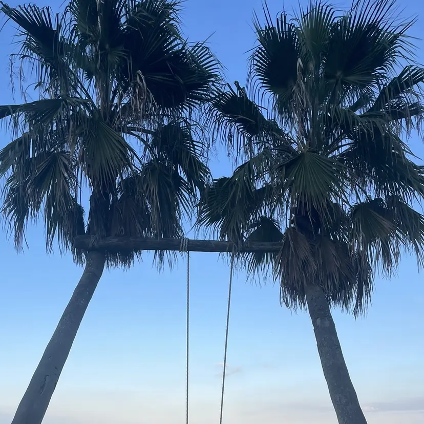 mana / 藤崎美容室の掲載