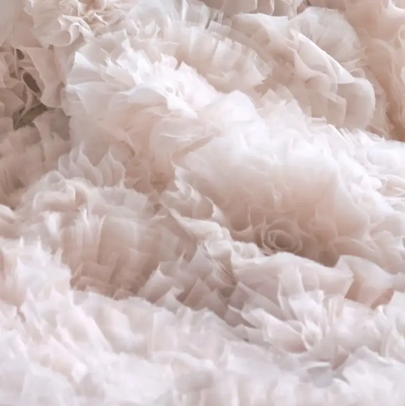 Une fleur soraの掲載