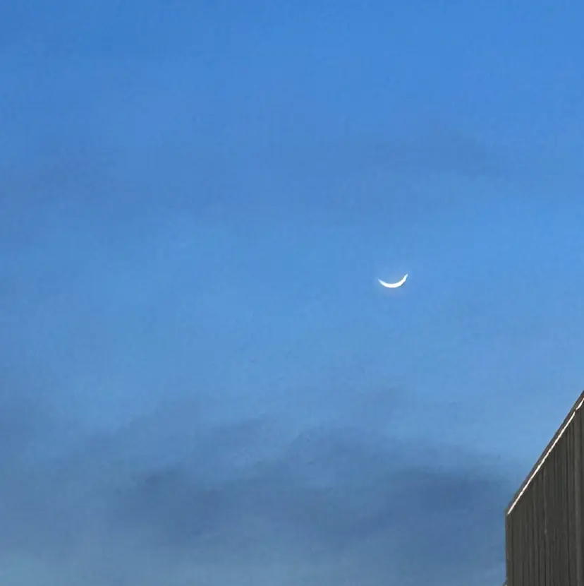 🐕🦺似合わせ 🐕🦺akariの掲載