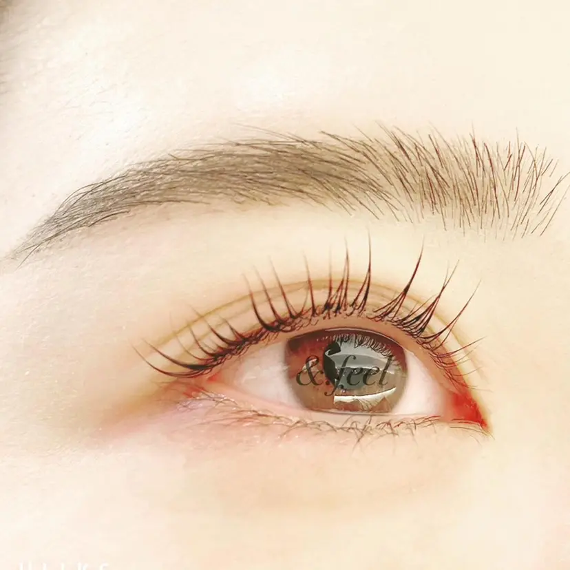 &.feel エンフィールの掲載