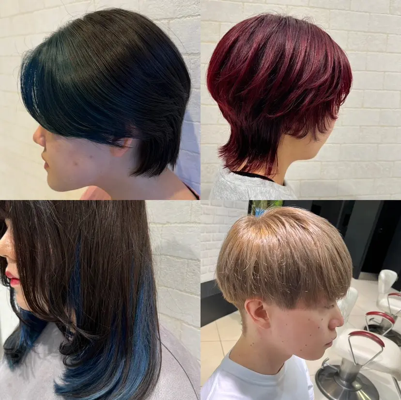 佐藤 千陽の掲載