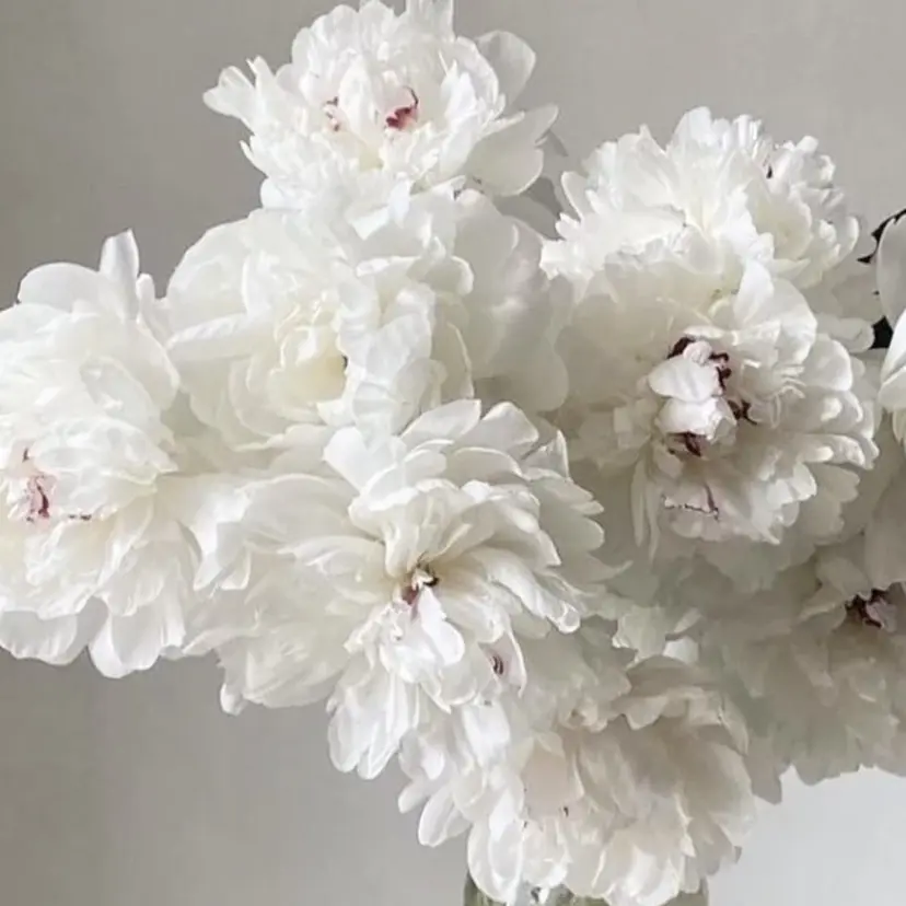 𝘩𝘸𝘢 東中野の掲載