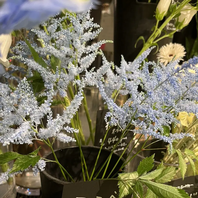 松本 ひなたの掲載