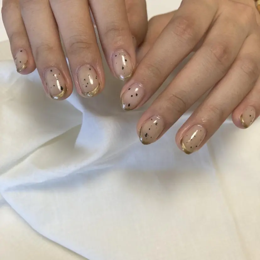 has nailの掲載