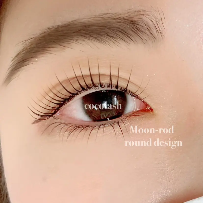 ココラッシュ タナカの掲載