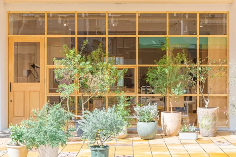 小林 沙姫の掲載