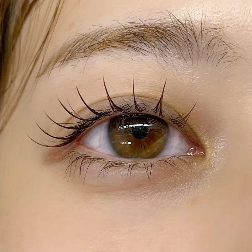 couture 石原の掲載