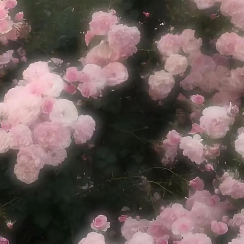 阪口 優希の掲載