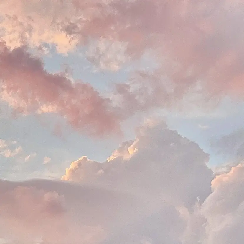 中山 涼華の掲載