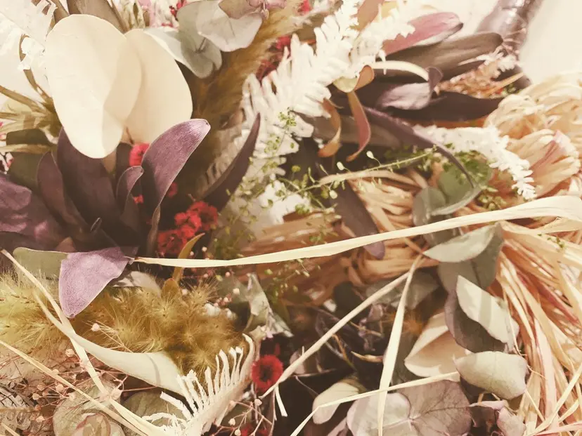 金村 遥奈の掲載