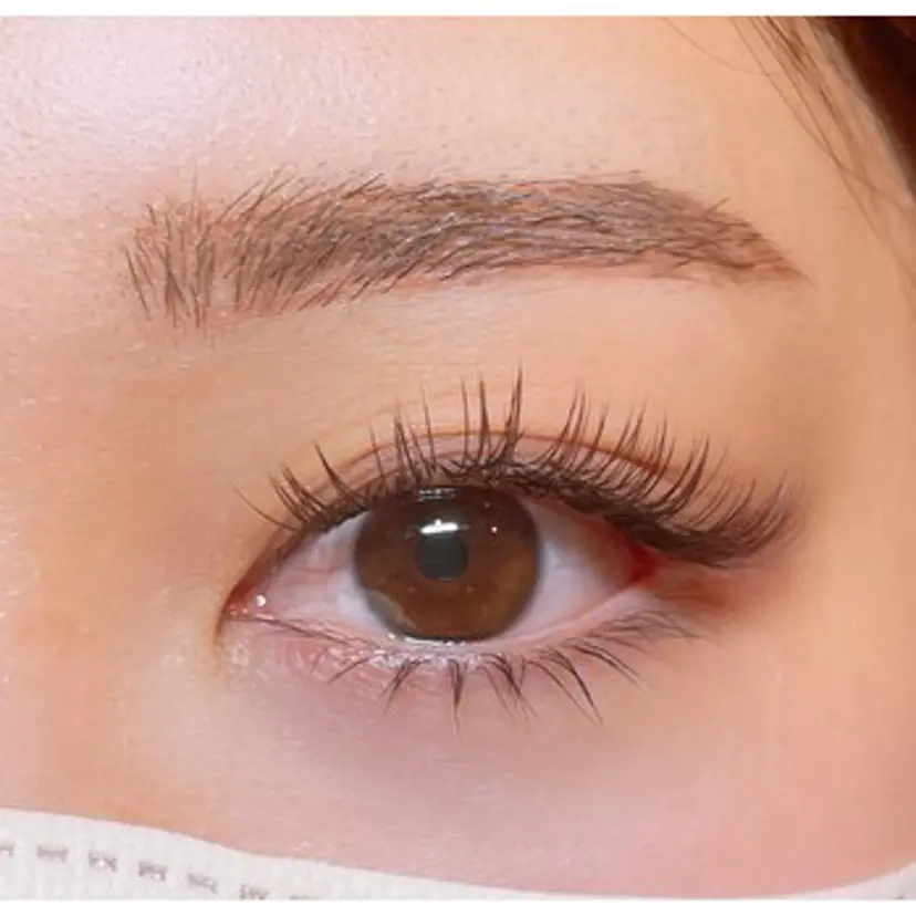 クワトロ アイデザイナーの掲載